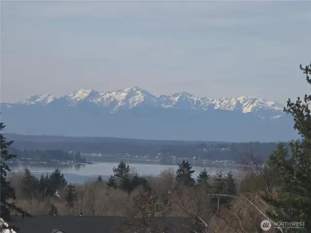 Part of the view from the back deck. The sun finally came out!