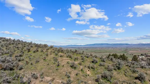Several knolls around the property would make excellent house sites