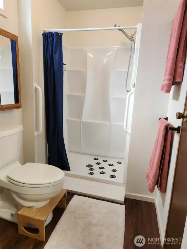 Main bathroom with large walk-in shower.