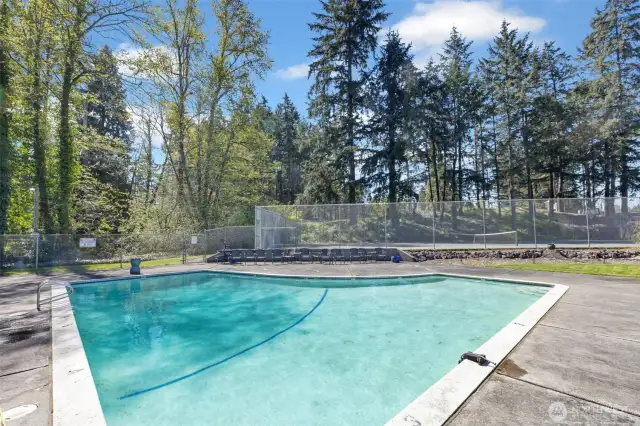 Community Pool