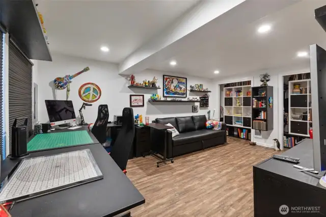 Lower Level Bedroom