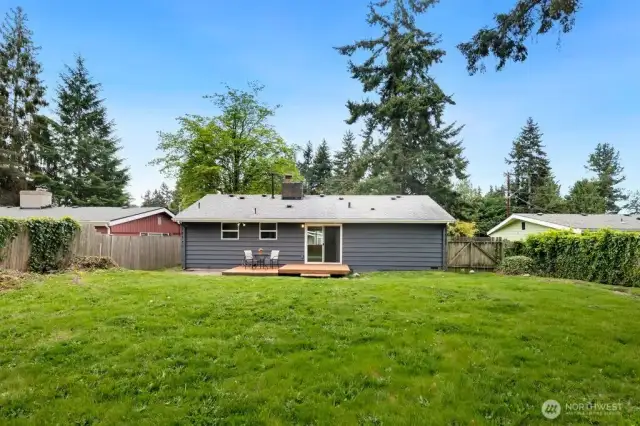 Huge fenced backyard