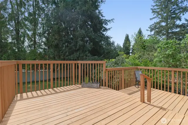 Back Patio