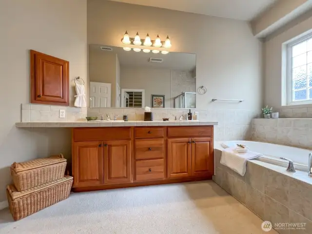 Vanity and Tub