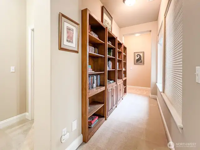 Library Shelves