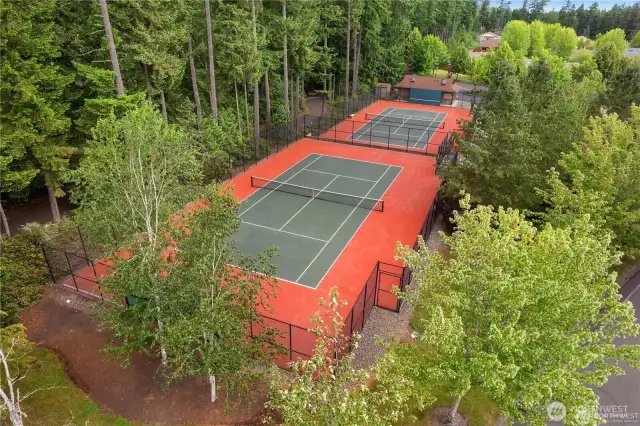 Courts
