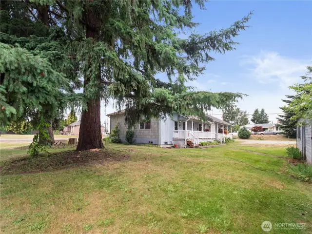 Large spacious yard.