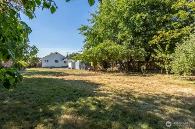 Huge backyard