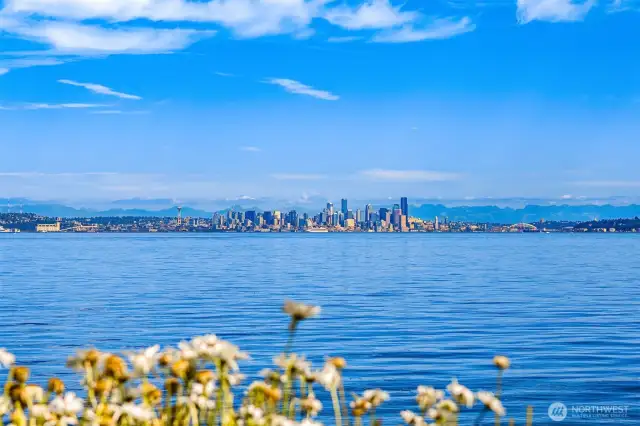With the Emerald City and Cascade Mountain Range holding center court.