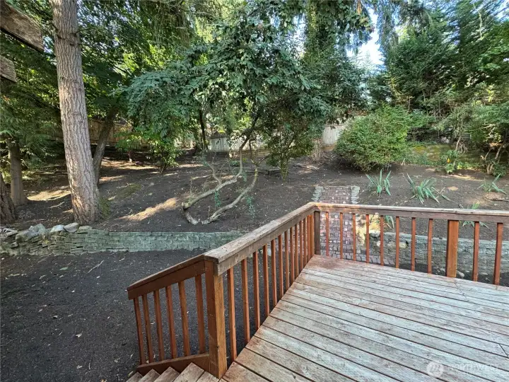 More Backyard