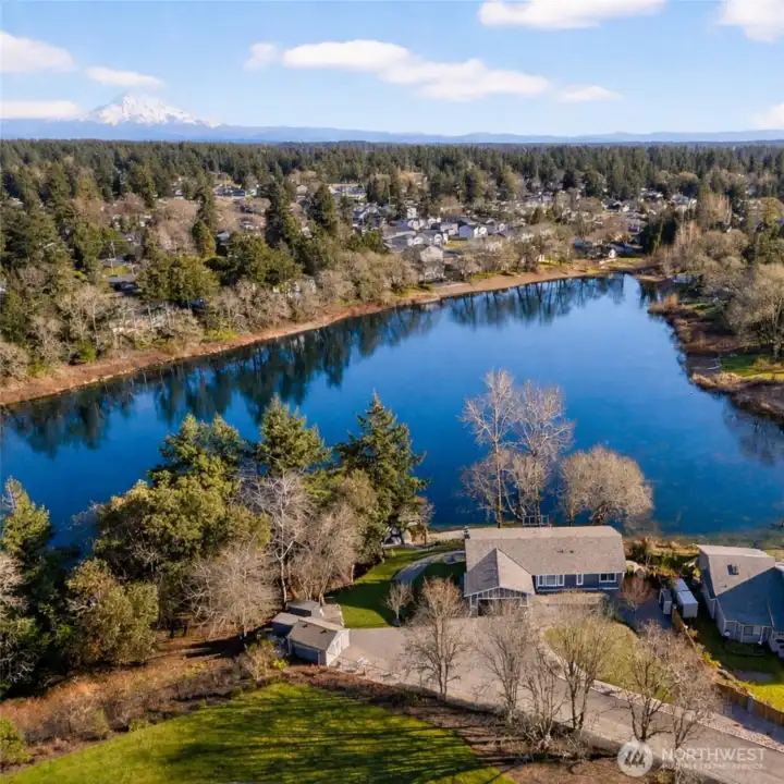 Serene no-bank lakefront with private dock, mature evergreens, and sweeping water views on 1.1 acres.