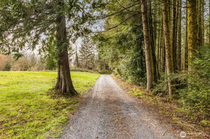 Driveway to your property