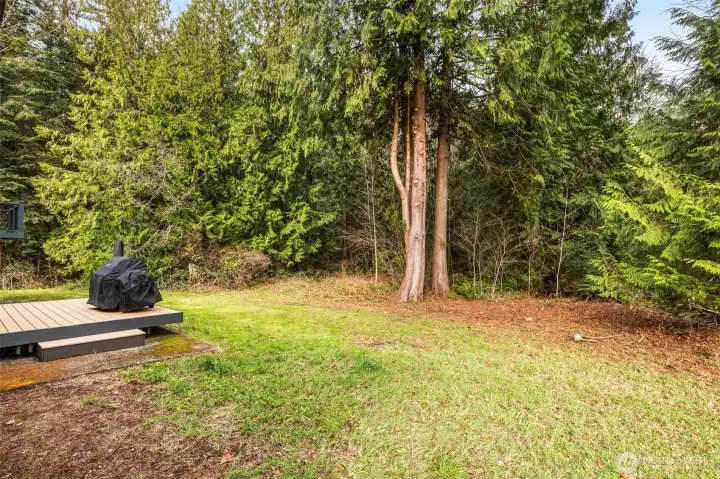 Private backyard with over 5 acres of land!