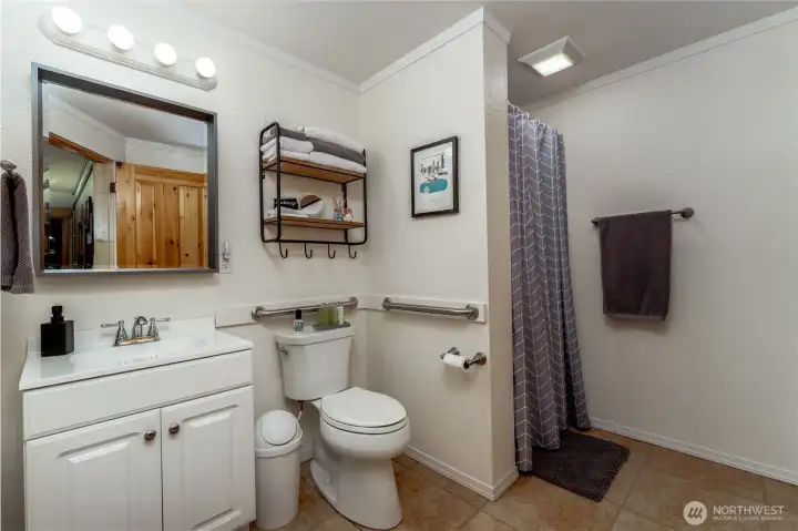 Lower Level Guest Bath