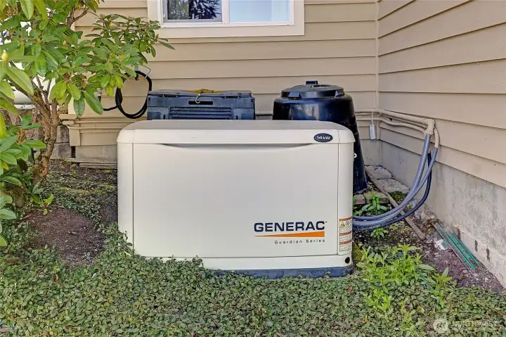 Automatic propane fired generator