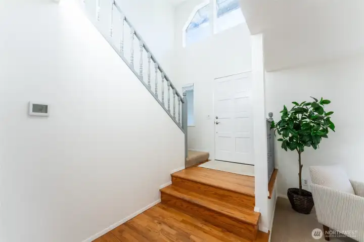 Entry/Stairs
