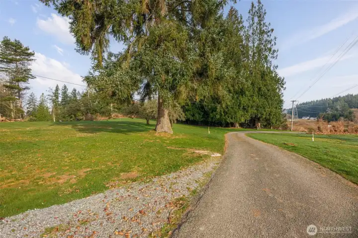 Ideal setting for luxury-oriented residential design.