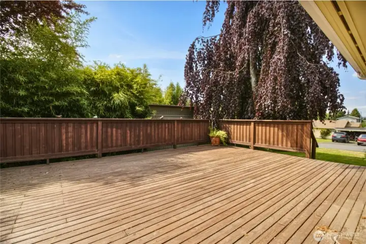 HUGE sunny deck!