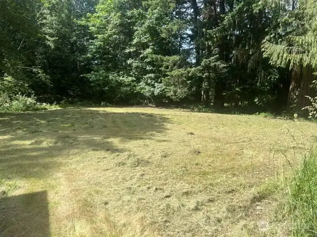from the house looking to the back of lot