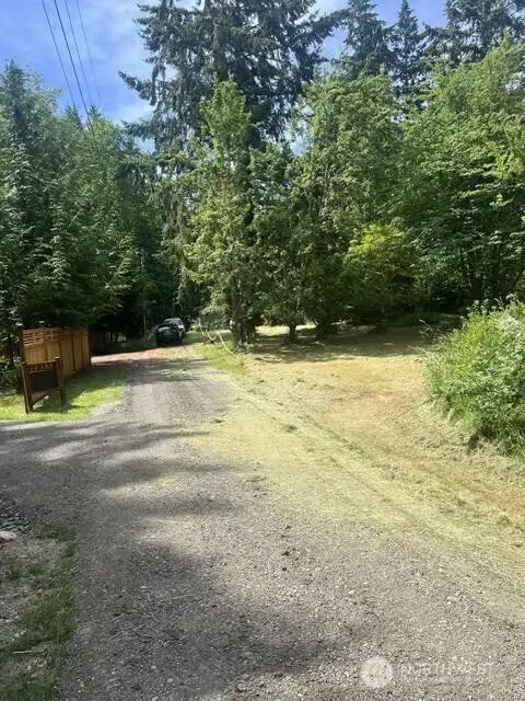 The driveway coming to the house.
