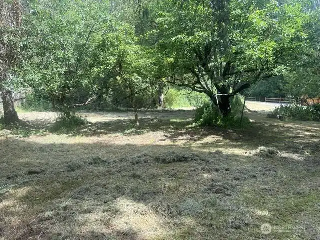 The front yard has lovely potential for landscaping.