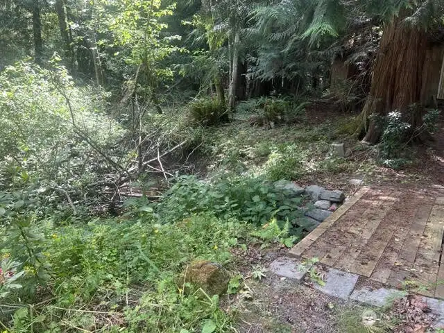 There is a 'pond' on the property, lives like a creek. A bridge goes to the shed in back.