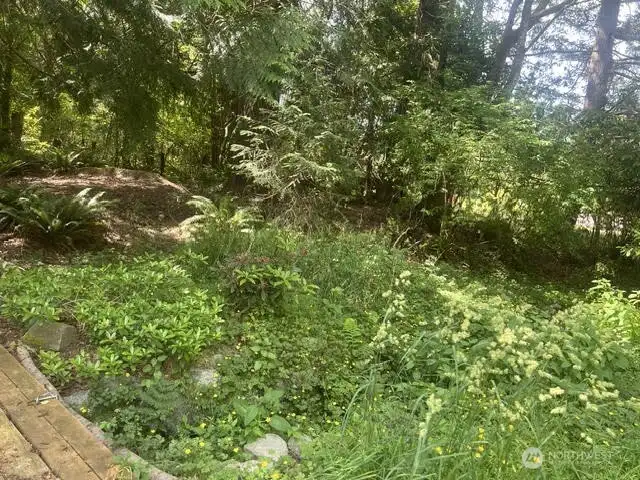 Part of the creek.