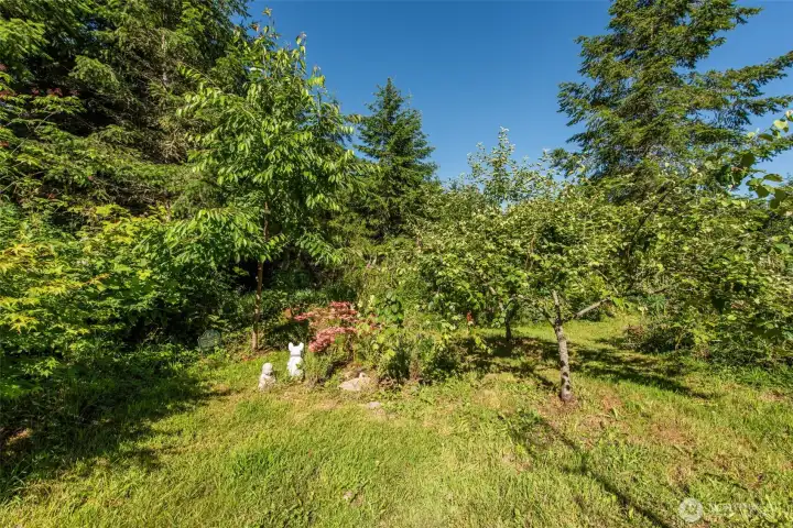 Abundant fruit trees and beautiful gardens. Abundant fruit trees and beautiful gardens.