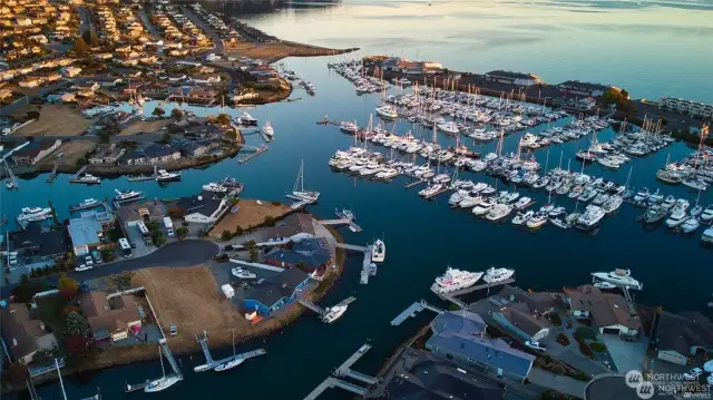 This is a Shot of Skyline Marina & you can drive here from your awesome new home in about 8 minutes.   There’s a whopping TWO stoplights to get through if you can tolerate it!   Anacortes Rocks… I’m telling ya.