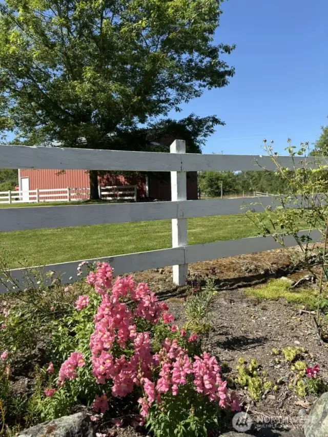 Mature Flowerbeds with gorgeous blooms.