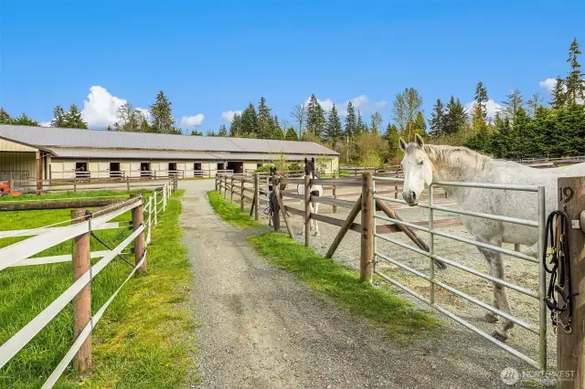 Easy care layout, barns, paddocks and pastures all thoughtfully designed