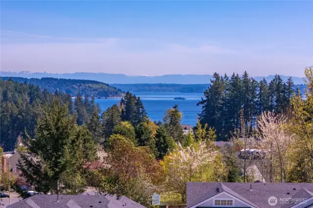 Watch the Vashon ferry go by day & night