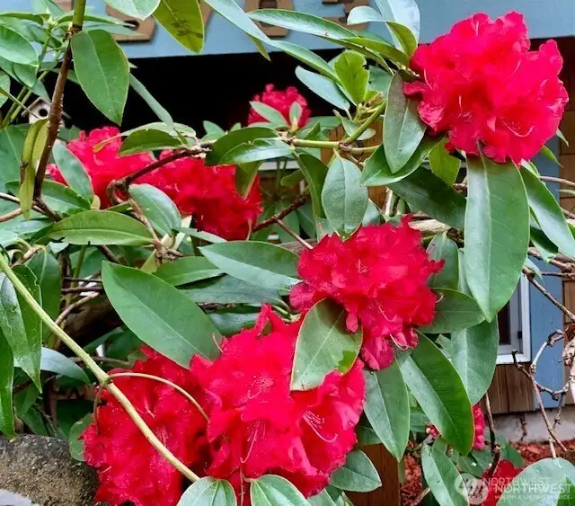 Different Season