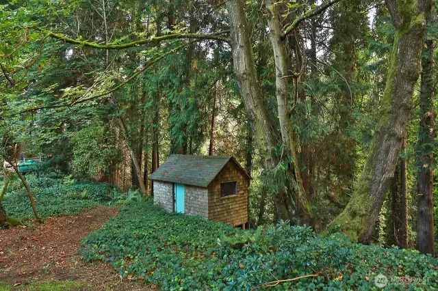 Perched on the side of the forest is an old artists cabin that has a fireplace and built in shelves. Ripe for a new life, a perfect place to unleash your creativity.