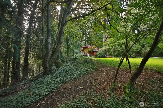The artist cabin is to your back. This photo gives you perspective of the proximity to the cottage.  Note the level, lush yard! Plenty of space for pups!