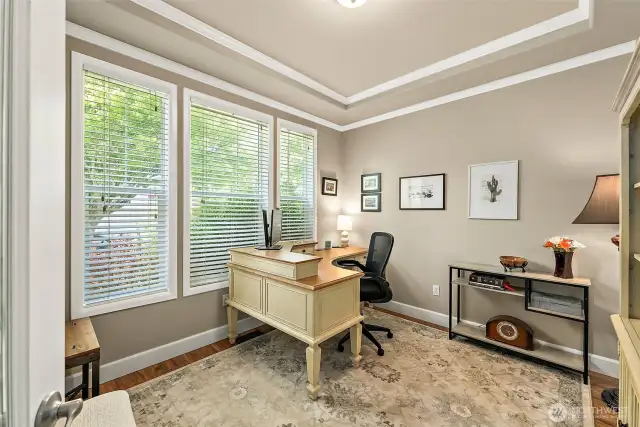 Main floor den/office just left of front entry