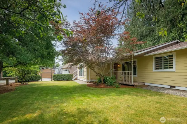 Mature apple & crabapple trees line your front yard