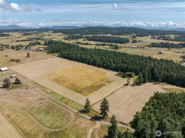 Pasture, Pond & Mature Woods.  Sunny 30 acres of versatile land in the heart of Lopez Island.