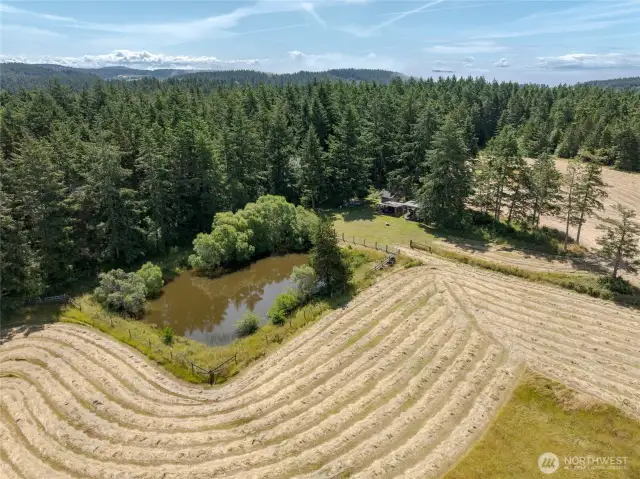 Another view of the pond surrounded by mowed hay ready to bale.