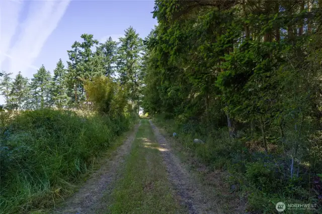 Driveway on the property.