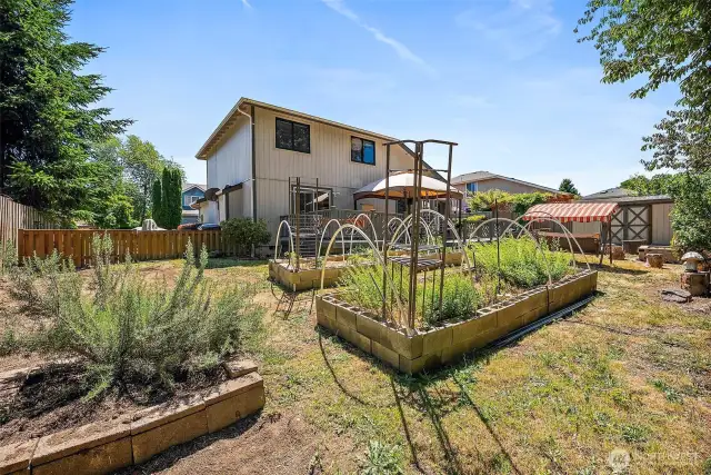 Large Back Yard