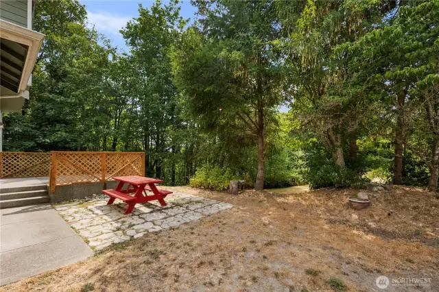 Private, Forested Back Yard