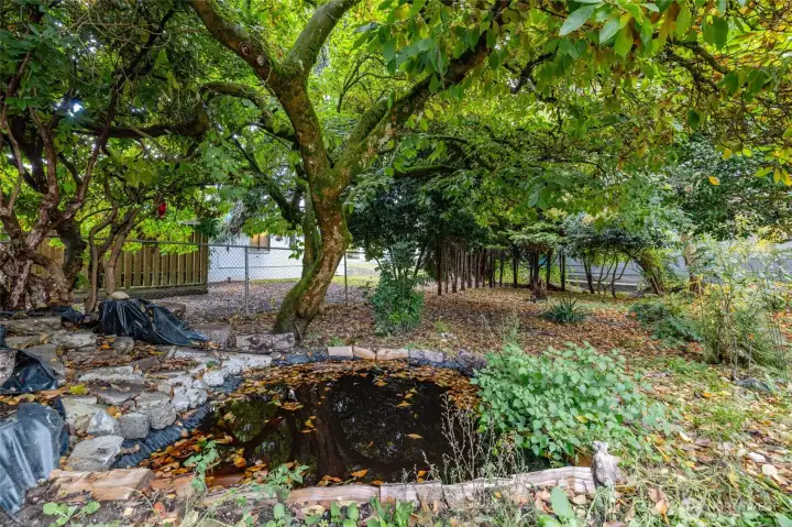 Pond in front yard