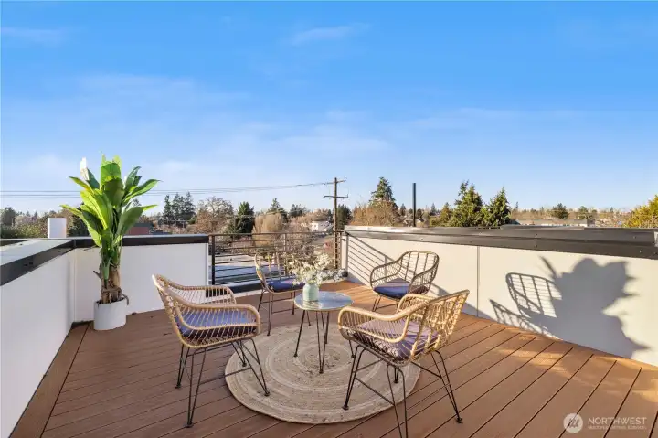 Premium and low maintenance trex decking