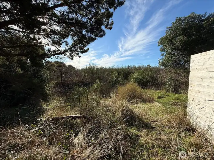 BACK YARD AFFORDS PRIVACY