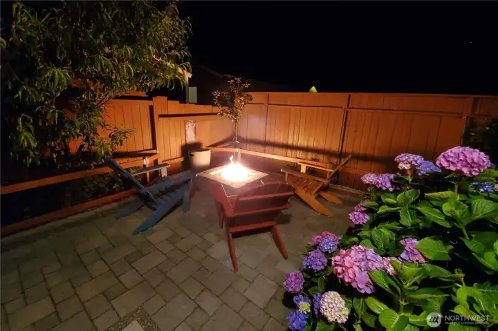 9 Darien - Night Time Yard View