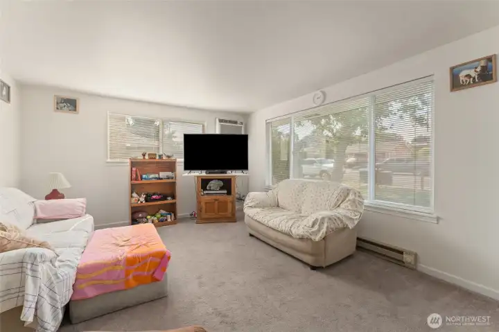 Nice view windows in living room
