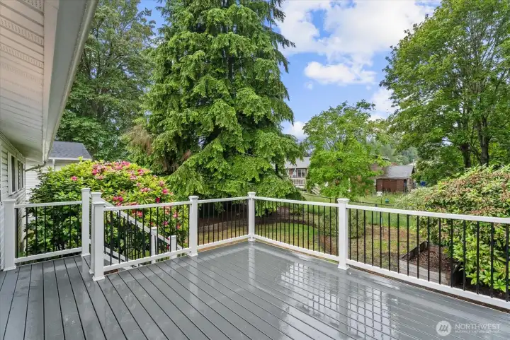 Expansive composite deck for outdoor entertaining