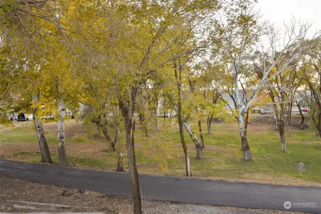 The "orchard" from your back deck.