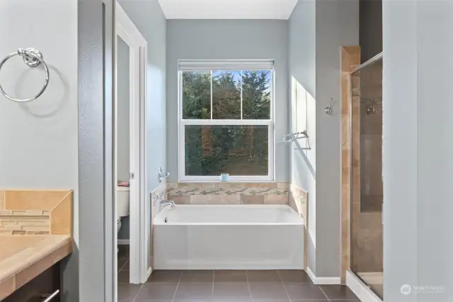 Relaxing primary suite bathroom -  soaking tub with mt views!